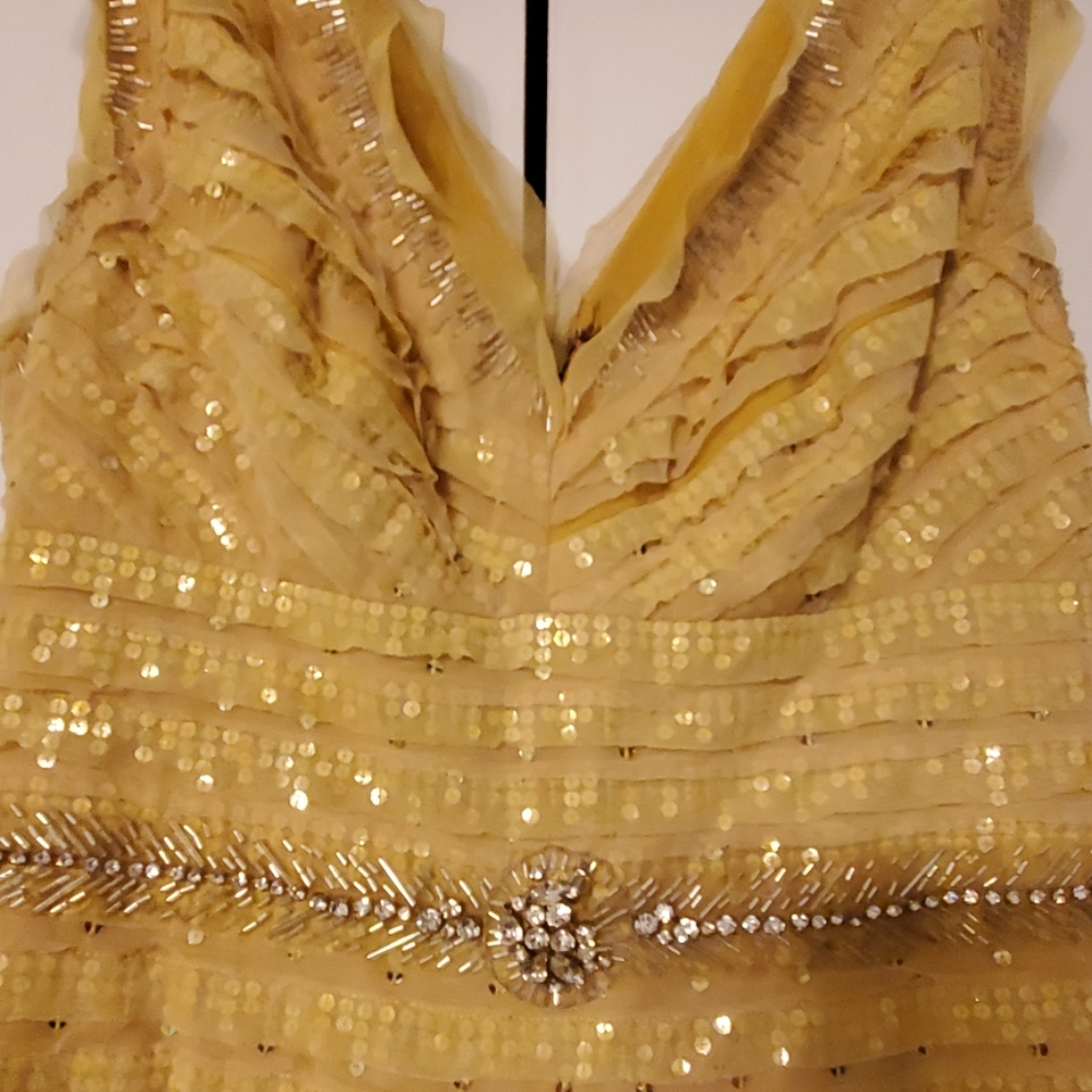 Exquisite Golden Yellow Dress